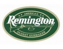Remington Firearms